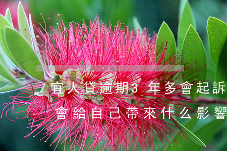 宜人貸逾期3年多會起訴嗎(宜人貸逾期三天會給自己帶來什么影響)