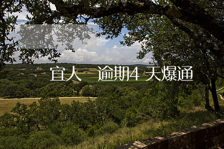 宜人貸逾期4天爆通訊錄 宜人貸逾期幾個小時