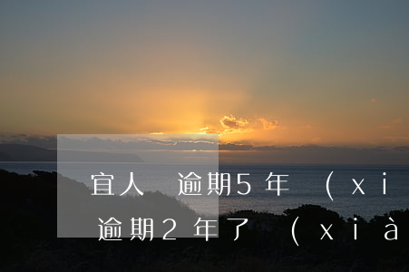 宜人貸逾期5年協(xié)商還款(宜人貸逾期2年了現(xiàn)在說可以減免還款金額)