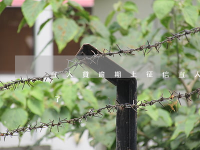 宜人貸逾期上征信(宜人貸2019年上征信了)
