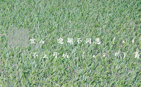 宜人貸逾期不同意協(xié)商(宜人貸還不上可以協(xié)商延長分期嗎)