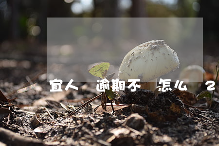 宜人貸逾期不還怎么辦2019-