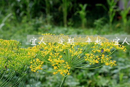 宜人貸逾期兩年起訴(宜人貸款逾期會怎么樣)