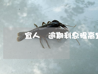 宜人貸逾期利息很高(宜人貸到期)