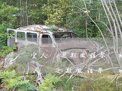 宜人貸逾期微信零錢被凍結(jié)了(宜人貸逾期微信零錢被凍結(jié)了怎么解凍)