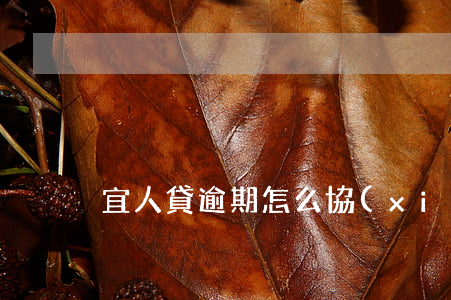 宜人貸逾期怎么協(xié)商還款