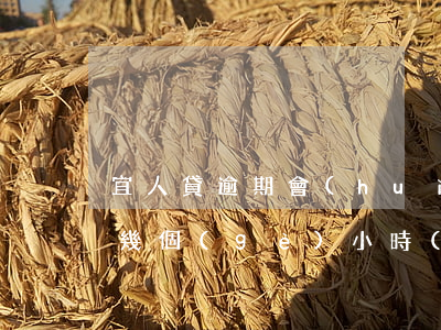 宜人貸逾期會(huì)上門么 宜人貸逾期幾個(gè)小時(shí)