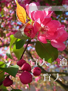 宜人貸逾期有收到法務(wù)告知短信嘛-宜人貸逾期有收到法務(wù)告知短信嘛是真的嗎