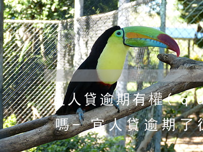 宜人貸逾期有權(quán)利上去黑名單嗎-宜人貸逾期了征信上會(huì)顯示預(yù)期記錄么