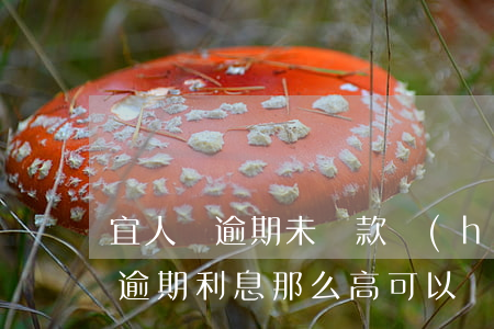 宜人貸逾期未還款會(huì)怎樣(宜人貸逾期利息那么高可以協(xié)商解決嗎)