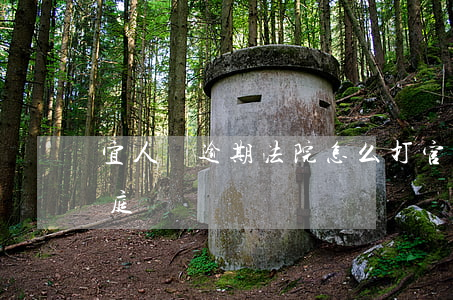 宜人貸逾期法院怎么打官司(宜人貸真的會開庭嗎)
