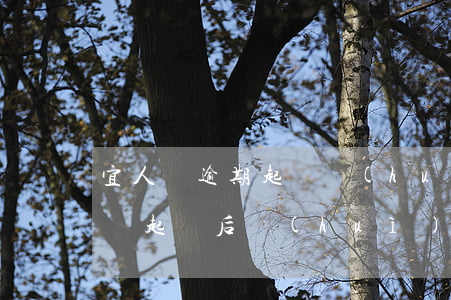 宜人貸逾期起訴會(huì)坐牢嗎-宜人貸起訴后會(huì)怎么樣