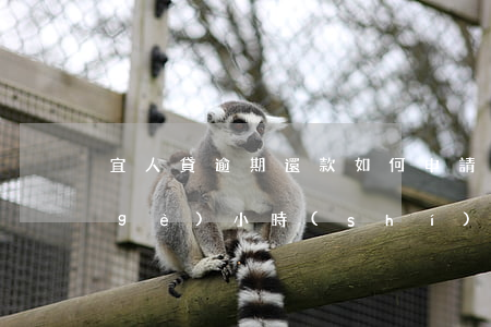 宜人貸逾期還款如何申請(宜人貸逾期幾個(gè)小時(shí))