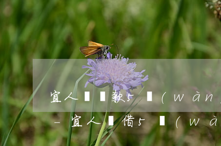 宜人貸還款5萬(wàn)分36期怎么辦-宜人貸借5萬(wàn)每月還款多少