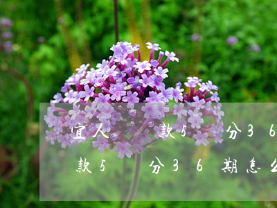 宜人貸還款5萬分36期怎么還-宜人貸還款5萬分36期怎么還款