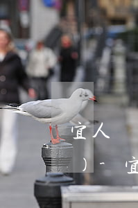 宜人貸還款一年還能不能再申請(qǐng)-宜人貸還款一年還能不能再申請(qǐng)一次