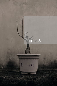 宜人貸還款怎么算逾期(宜人貸還下款嗎)