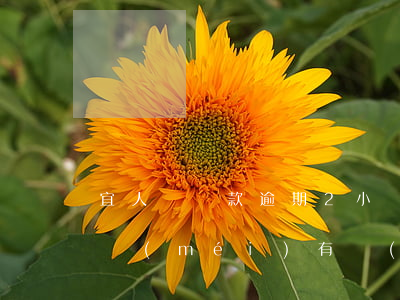 宜人貸還款逾期2小時(shí)(宜人貸還沒(méi)有過(guò)還款時(shí)間就一直騷擾)