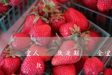 宜人貸還款逾期違約全(宜人貸無(wú)法還款)