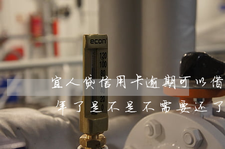 宜人贷信用卡逾期可以借款吗(宜人贷逾期一年了是不是不需要还了?)