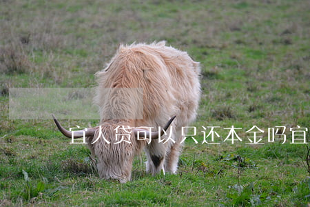 宜人贷可以只还本金吗(宜人贷可以不用还吗)