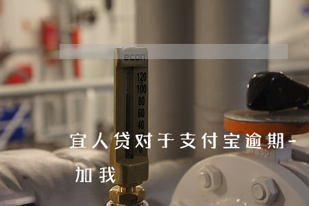 宜人贷对于支付宝逾期-宜人贷通过支付宝加我