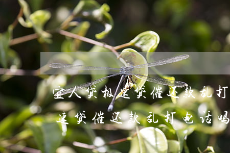 宜人贷极速贷催还款乱打电话吗-宜人贷极速贷催还款乱打电话吗是真的吗