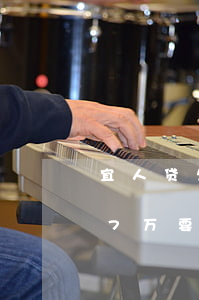 宜人贷欠7万还不起怎么办(我在宜人贷借了7万要还接近12万)