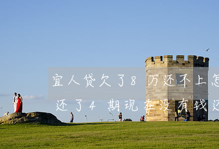 宜人贷欠了8万还不上怎么办(欠宜人贷8万还了4期现在没有钱还了,我该怎么办,你好)