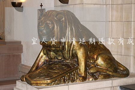 宜人贷申请延期还款有成功的吗-