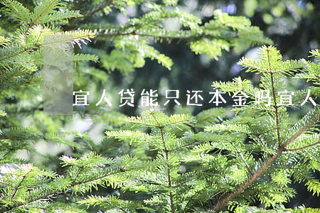 宜人贷能只还本金吗（宜人贷能只还本金吗）