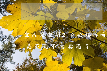 宜人贷逾期2万会起诉吗(宜人贷逾期两年了是不是不需要还了?)