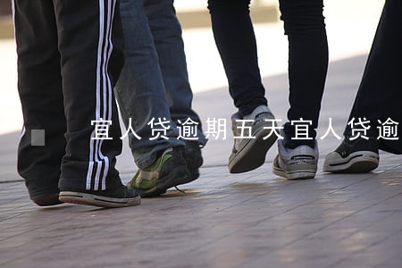 宜人贷逾期五天 宜人贷逾期五天