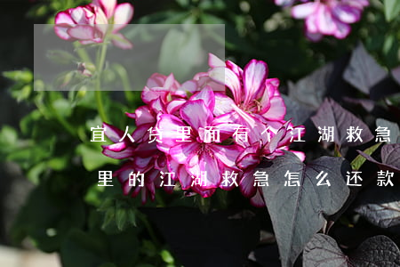 宜人贷里面有个江湖救急怎么还款-宜人贷里的江湖救急怎么还款