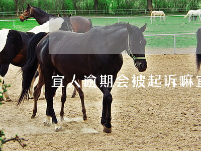 宜人逾期会被起诉嘛(宜人贷起诉后会怎么样)