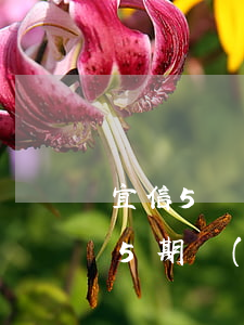 宜信5萬貸款逾期一年(在宜信貸款6萬還了5期現(xiàn)在還不上怎么辦)