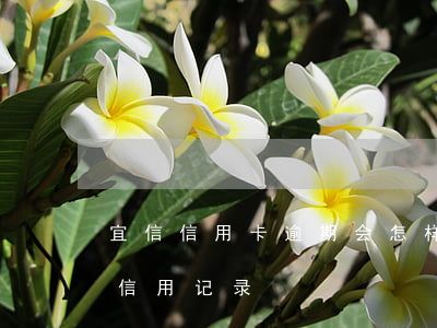 宜信信用卡逾期会怎样(信用卡逾期多久影响信用记录)