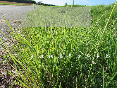 宜信信用卡逾期多久會(huì)壞賬
