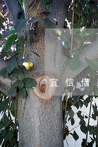 宜信借款逾期起訴(宜信金融起訴)