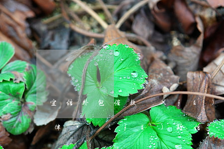 宜信外包催款發(fā)律師函(宜人貸催款律師發(fā)短信開(kāi)庭)