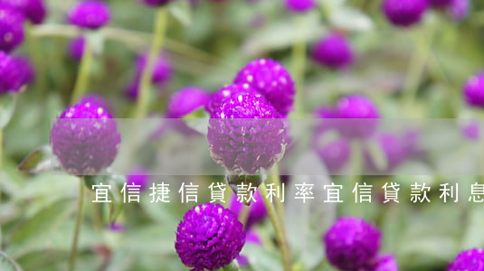 宜信捷信貸款利率(宜信貸款利息多少)