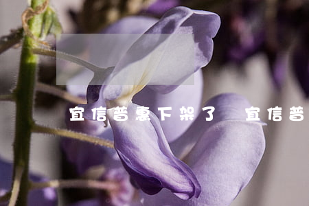 宜信普惠下架了嗎（宜信普惠逾期吧）