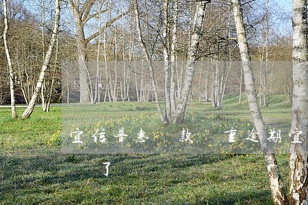 宜信普惠貸款嚴重逾期(宜信普惠貸款公司起訴了)