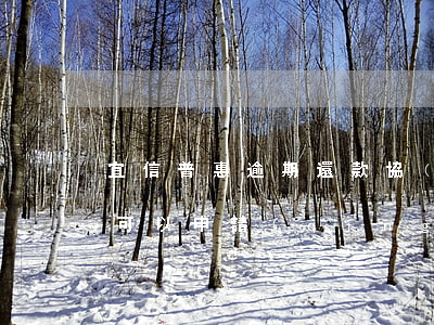 宜信普惠逾期還款協(xié)商(宜信普惠可以申請(qǐng)延期還款嗎)