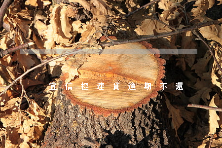 宜信極速貸逾期不還