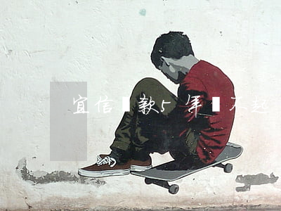 宜信貸款5年還不起