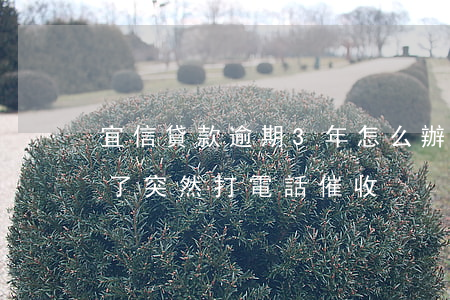 宜信貸款逾期3年怎么辦(宜信貸款逾期五年了突然打電話催收)