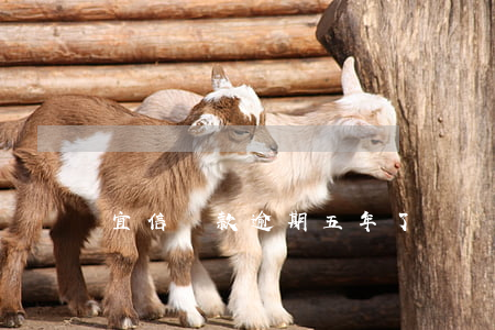 宜信貸款逾期五年了