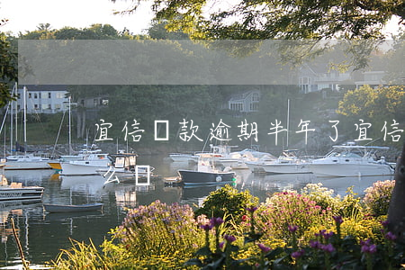 宜信貸款逾期半年了(宜信貸款逾期還不上怎么辦)