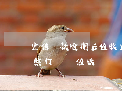 宜信貸款逾期后催收(宜信貸款逾期五年了突然打電話催收)